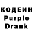 Кодеиновый сироп Lean Purple Drank Andry Canz