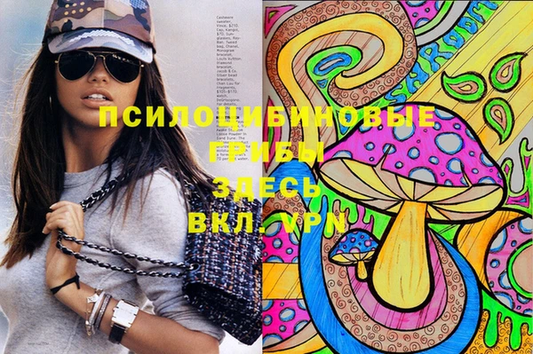 PSILOCYBIN Алексеевка