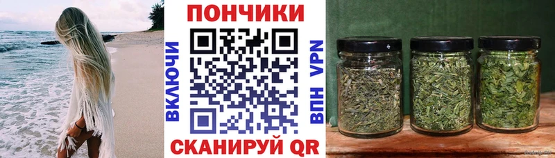 Бошки марихуана Amnesia Шарья